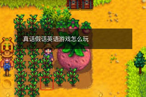 真话假话英语游戏怎么玩